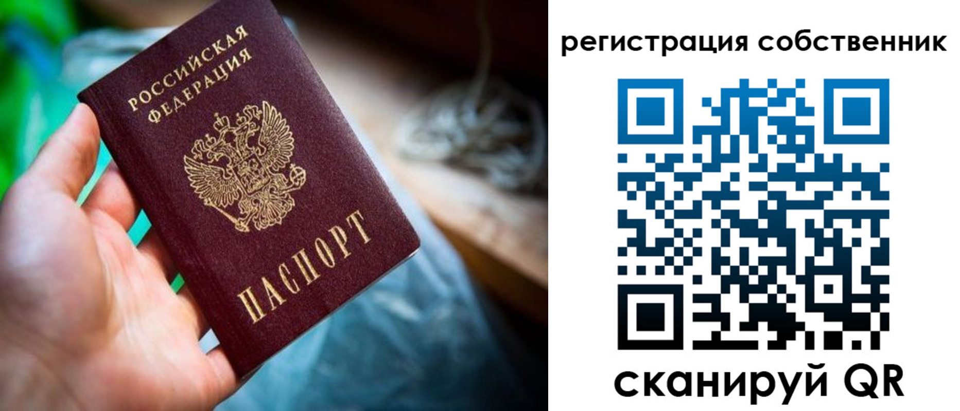 временная регистрация для школы в Грозном
